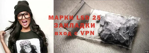 прущие грибы Бугульма