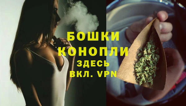 прущие грибы Бугульма