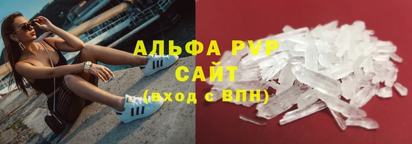 МДПВ Бородино