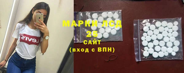 МДПВ Бородино