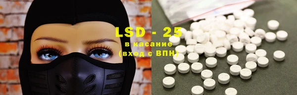 прущие грибы Бугульма