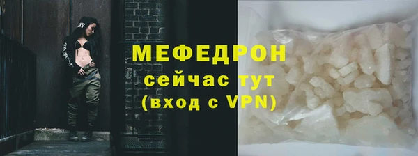 МДПВ Бородино