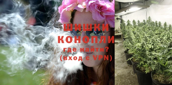МДПВ Бородино