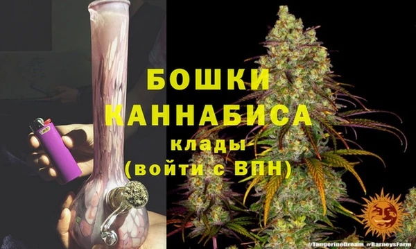 МДПВ Бородино