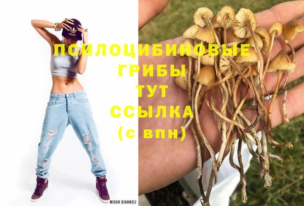 прущие грибы Бугульма