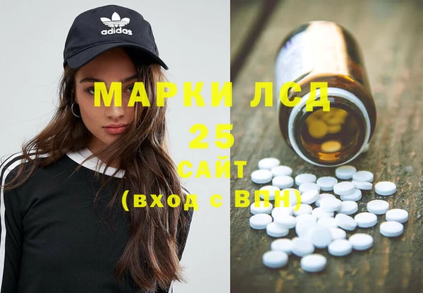 МДПВ Бородино