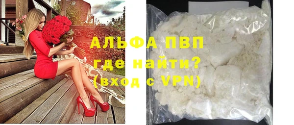 МДПВ Бородино
