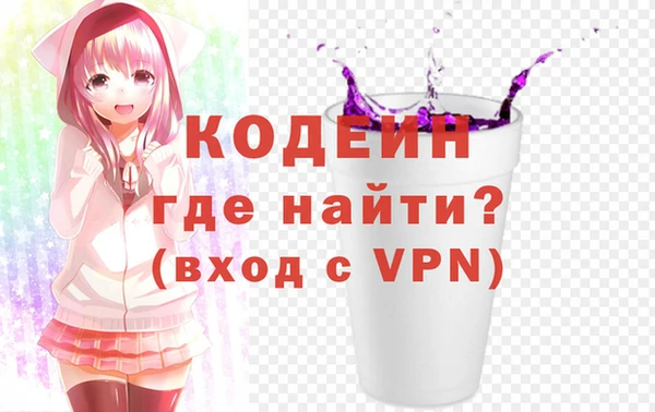 МДПВ Бородино