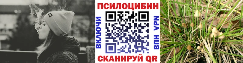 Галлюциногенные грибы прущие грибы  Купить закладки  Гаврилов Посад 